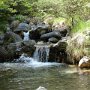 DSCN1010