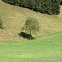 DSCN1163